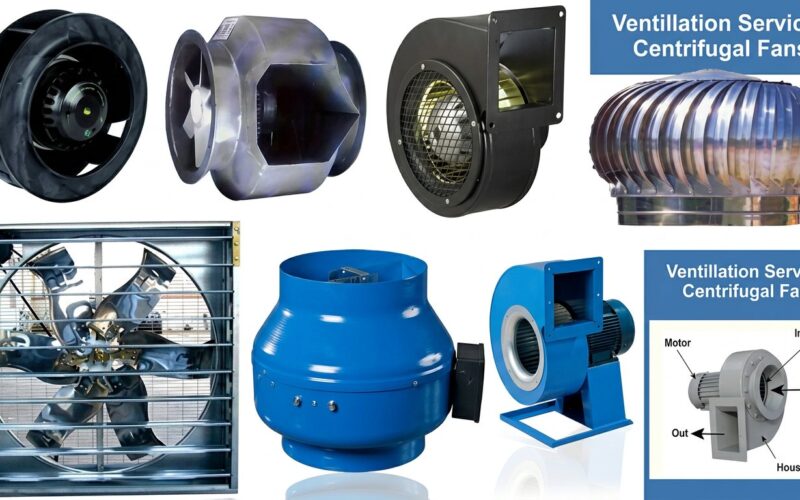 Mechanical Ventilation